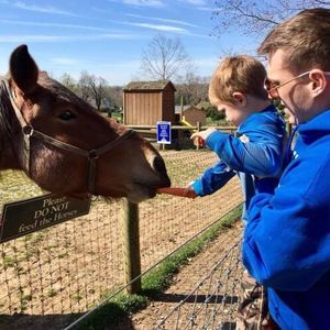 Meet your Posher, Mark